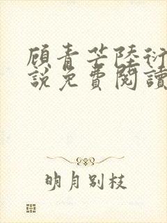 顾青芒陆衍牧小说免费阅读