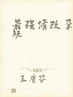 最强修改孕妇系统