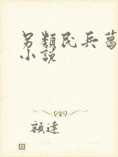 另类民兵葛二蛋小说