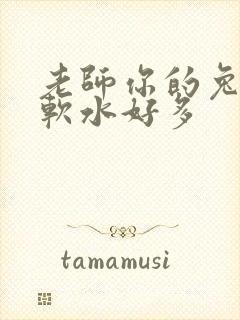 老师你的兔子好软水好多