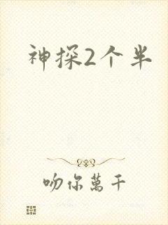 神探2个半