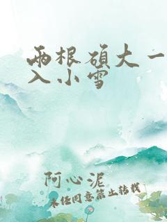 两根硕大一起挤入小雪