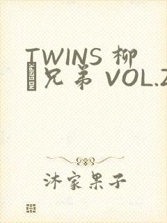 TWINS 柳澤兄弟 VOL.2