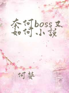 奈何boss又如何小说