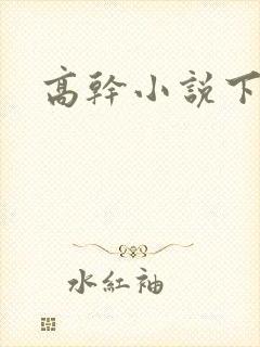 高干小说下载