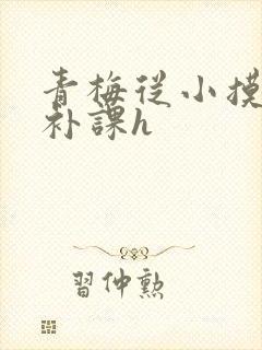 青梅从小摸到大补课h