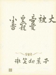 小皇帝被大臣轮番宠爱