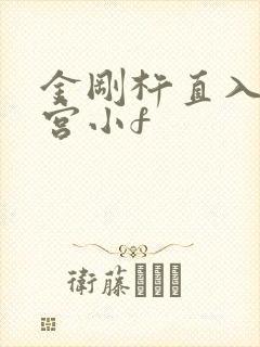 金刚杵直入莲花宫小f