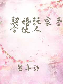 契婚玩家手册之合伙人