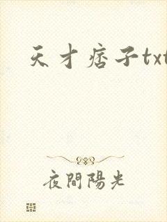 天才痞子txt