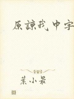 原谅我中字
