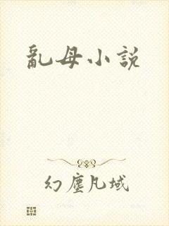 乱母小说