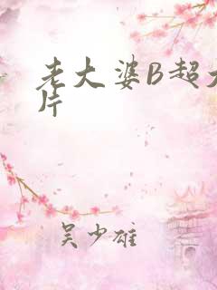 老大婆B超大图片