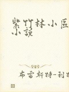 紫竹林小区快递小说