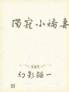 独宠小娇妻
