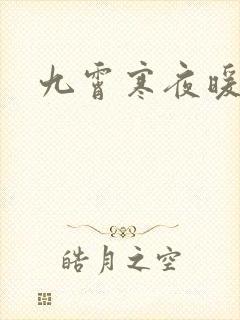 九霄寒夜暖小说
