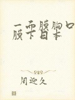 一面膜胸口一面膜下日本