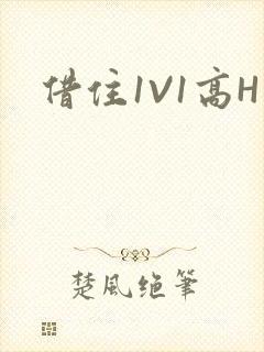 借住1V1高H