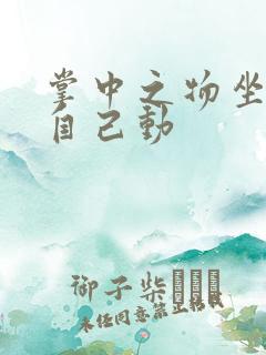 掌中之物坐上来自己动