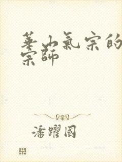 华山气宗的形意宗师