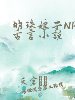 明珠娘子NPC古言小说