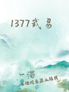 1377武易