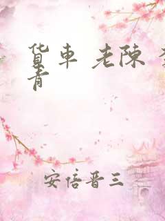 货车 老陈 李青