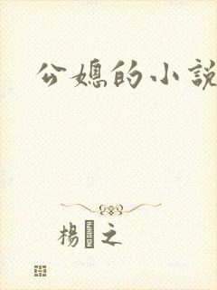 公媳的小说