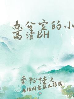 办公室的小秘书高清BH