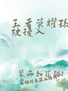 王者荣耀孙尚香被后入