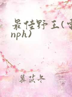 最佳野王(电竞nph)