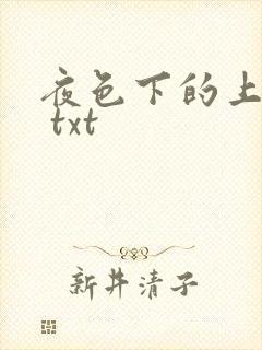 夜色下的上海滩 txt