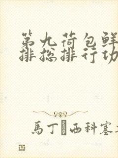 第九荷包鲜辣肉排总排行功能介绍