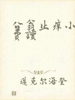 公翁止痒小说免费读