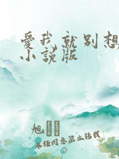 爱我就别想太多小说版