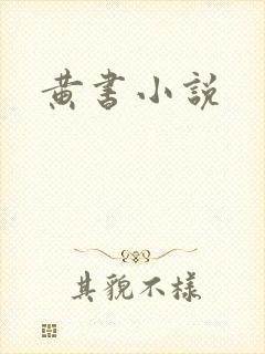 黄书小说