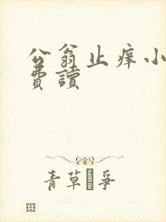 公翁止痒小说免费读