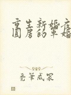 重生新婚夜正在圆房的军婚