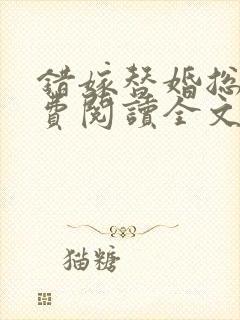 错嫁替婚总裁免费阅读全文