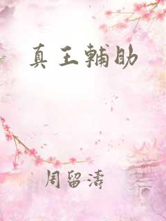 真王辅助