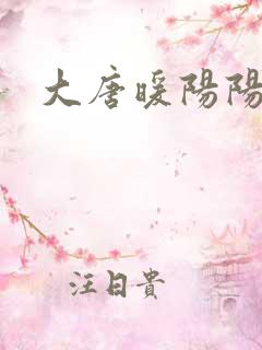 大唐暖阳阳