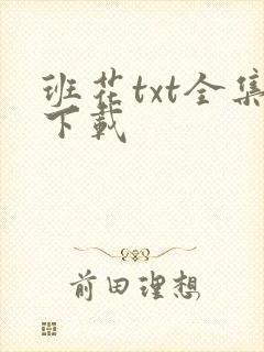 班花txt全集下载