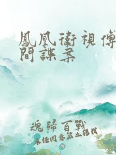 凤凰卫视傅晓田间谍案