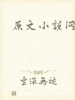 原文小说网