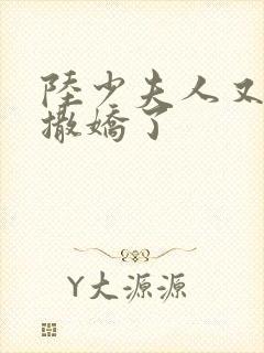 陆少夫人又双叒撒娇了