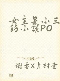女主是小三很婊的小说PO