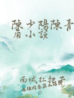 陈少阳陈青帝主角小说