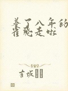 养了八年的金丝雀飞走啦