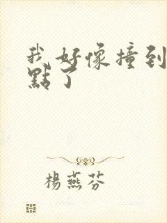 我好像撞到你的点了