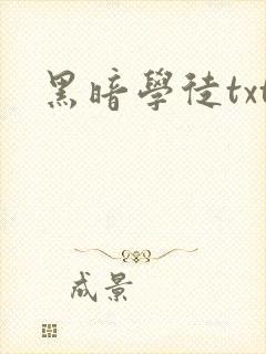 黑暗学徒txt